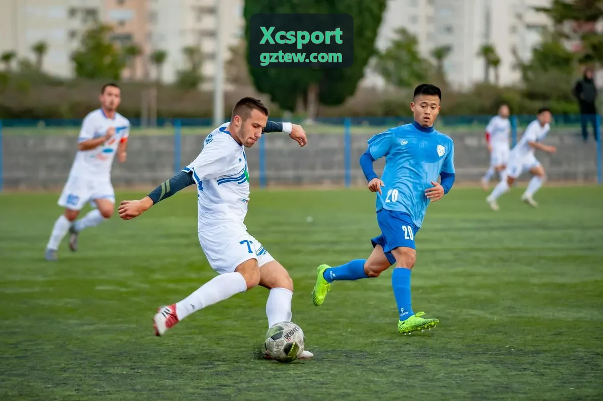 Xcsport 定制方案